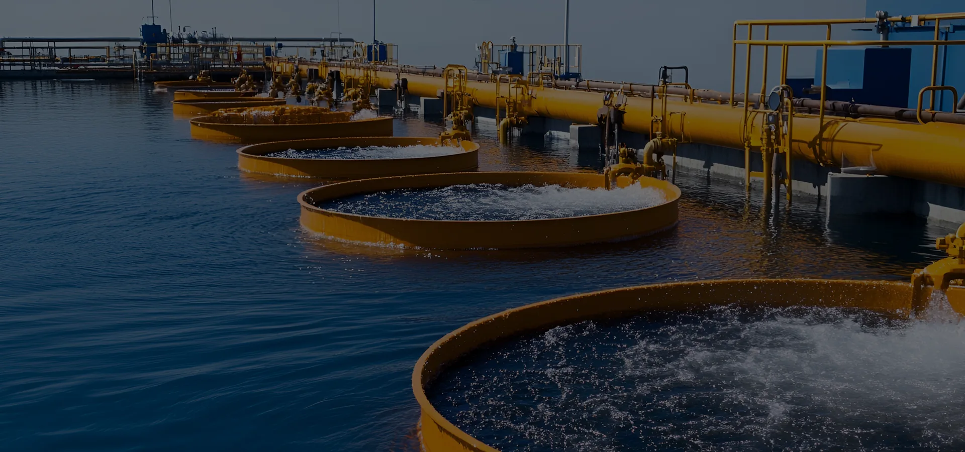 Our company has established a complete quality control and assurance system